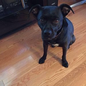 Meet your Posher, Jerry